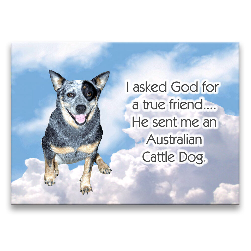 AUSTRALIAN CATTLE DOG True Friend From God MAGNET
