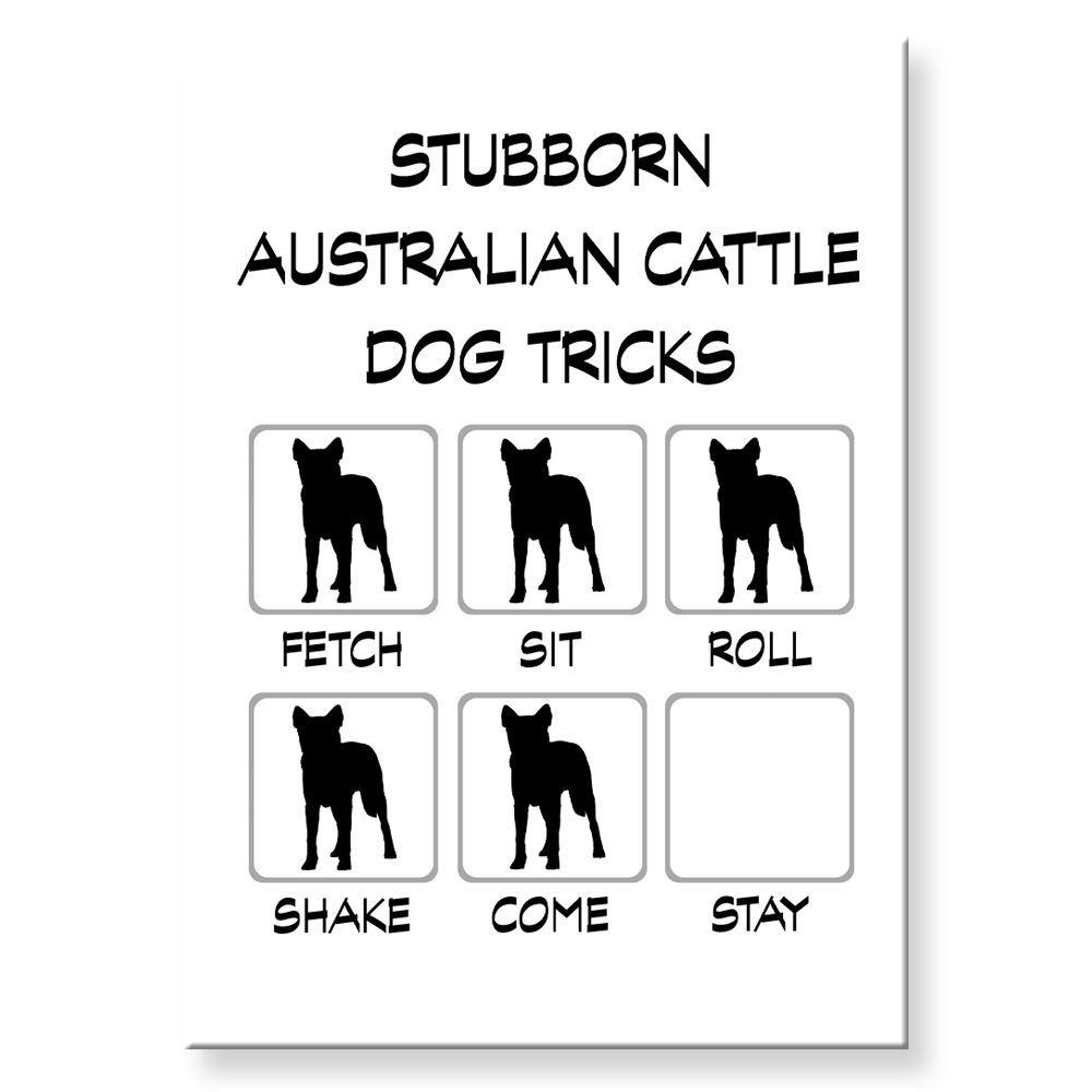 AUSTRALIAN CATTLE DOG Stubborn Tricks FRIDGE MAGNET Steel Case Funny